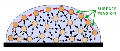 F021