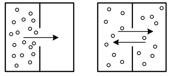 농도 차이에 의한 물질전달 현상
