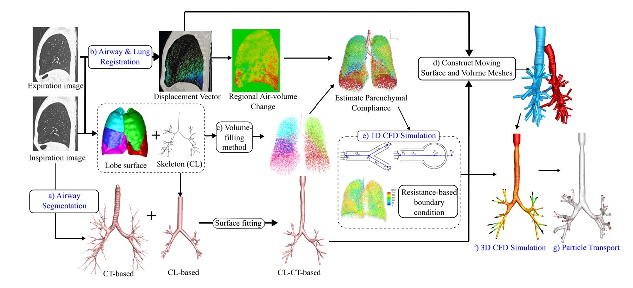 영상 정합, 영상분할 기술과 접목된 호흡기 CFD 해석의 개략도